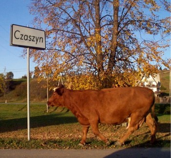 Jak na wakacje to do Czaszyna